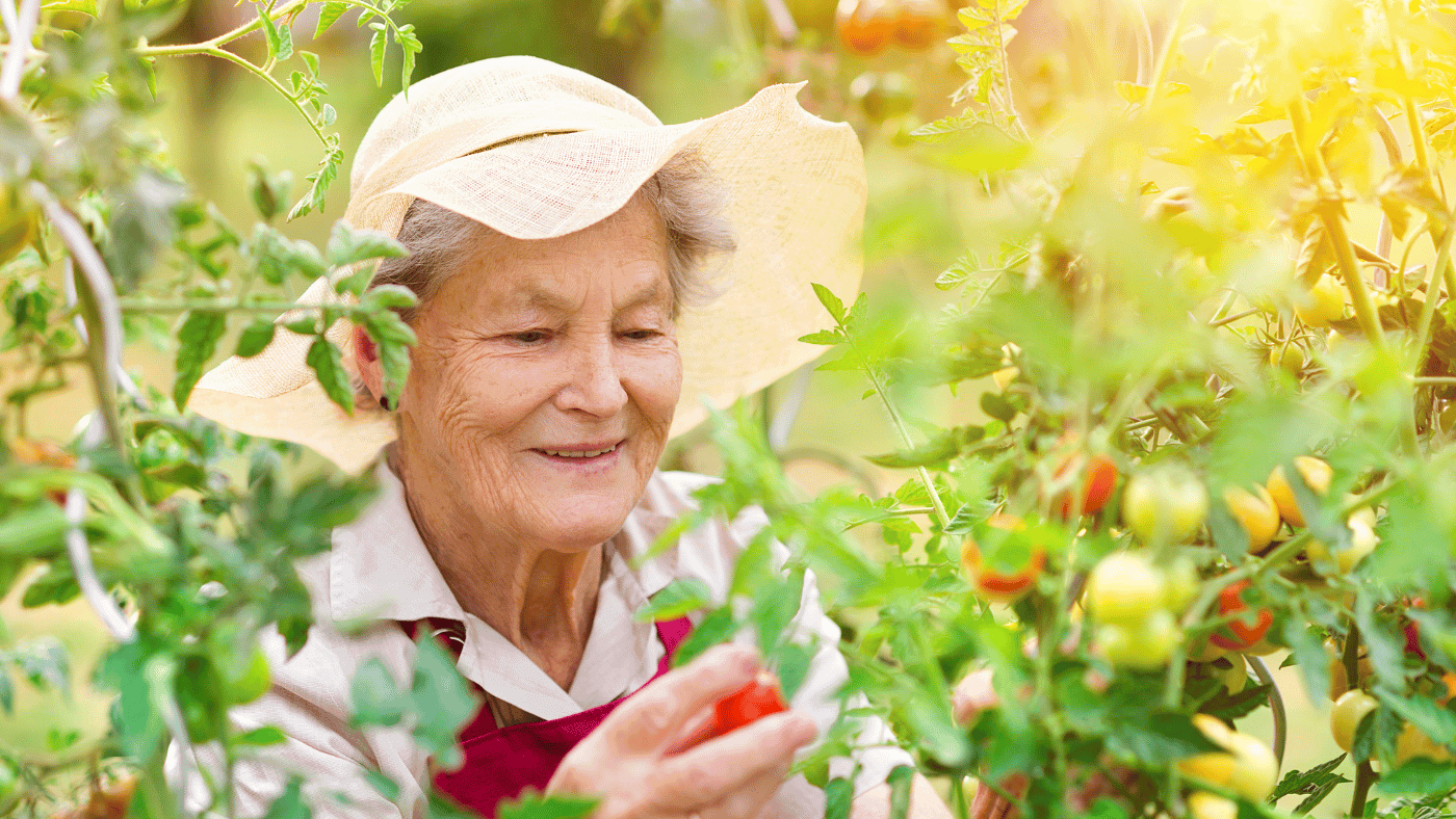 10 Longevity Habits from the World’s Blue Zones: Secrets to Living Longer and Healthier