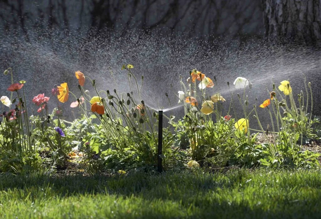 Smart Irrigation Tips: Efficient Watering for a Thriving Garden
