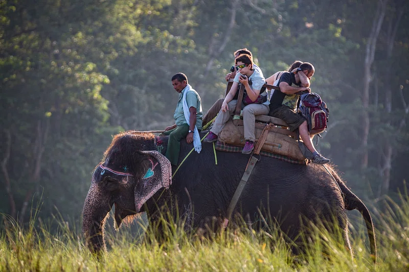 Bucket List Experiences: Once-in-a-Lifetime Adventures in Developed Countries